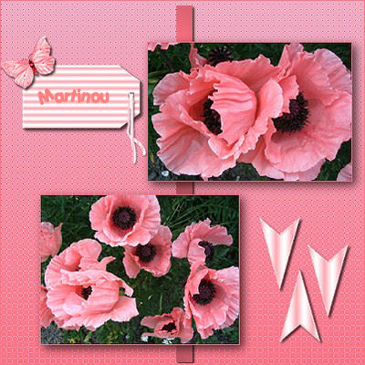 Comme un petit coquelicot...